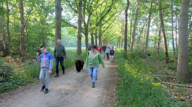 Dauwtrappen (donderdag 21 mei 2020)
